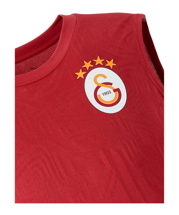 PUMA PUMA Galatasaray Istanbul Training SL T-Shirt T-Shirt Herren - rot - 0 | SportScheck
