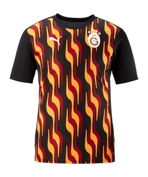 PUMA Galatasaray Istanbul Training T-Shirt T-Shirt Herren