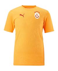 PUMA Galatasaray Istanbul Training T-Shirt T-Shirt Herren - gelb