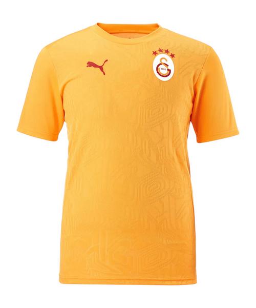 PUMA Galatasaray Istanbul Training T-Shirt T-Shirt Herren