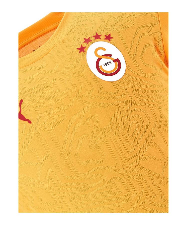 PUMA PUMA Galatasaray Istanbul Training T-Shirt T-Shirt Herren - gelb - 0 | SportScheck