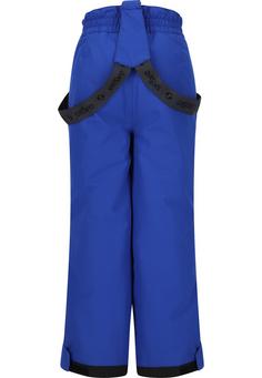 Rückansicht von ZigZag Soho Skihose Kinder 2047 Surf the Web