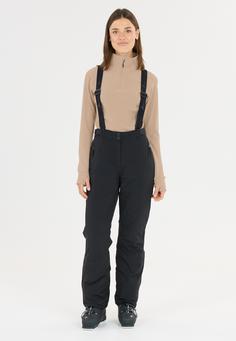 Rückansicht von Whistler Kajsa Skishirt Damen 1136 Simply Taupe