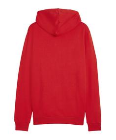 Rückansicht von PUMA teamGOAL Casuals Kapuzenjacke Trainingsjacke Herren rotweiss