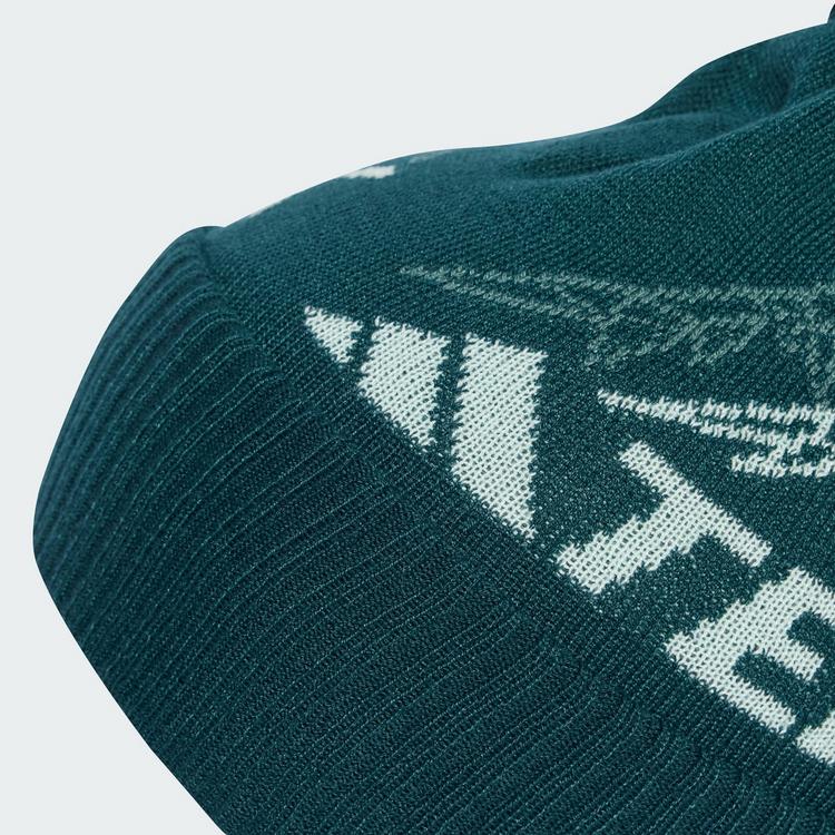 adidas adidas Terrex Xploric Bommelm&uuml;tze Beanie - Aurora Ivy - 0 | SportScheck