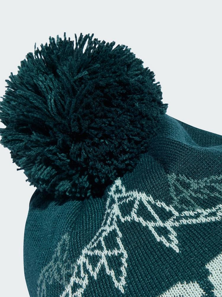 adidas adidas Terrex Xploric Bommelm&uuml;tze Beanie - Aurora Ivy - 1 | SportScheck