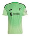 adidas FC Liverpool Torwarttrikot 2025/2026 Trikot Herren - gruen