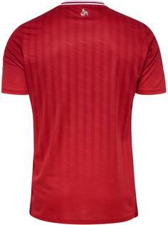 Rückansicht von hummel Fanshirt TRUE RED