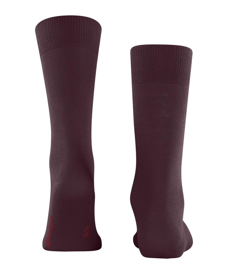 Burlington Burlington Lord SO Socken Herren - claret (8435) - 0 | SportScheck