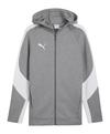 PUMA teamEVOSTRIPE Kapuzenjacke Funktionssweatshirt Herren - grau