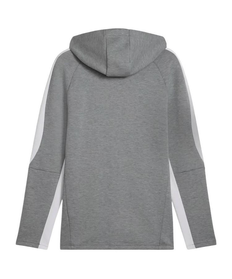 PUMA PUMA teamEVOSTRIPE Kapuzenjacke Funktionssweatshirt Herren - grau - 0 | SportScheck