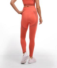 Rückansicht von Falke TR Seamless Shape Tights w Tights Damen coral (8017)