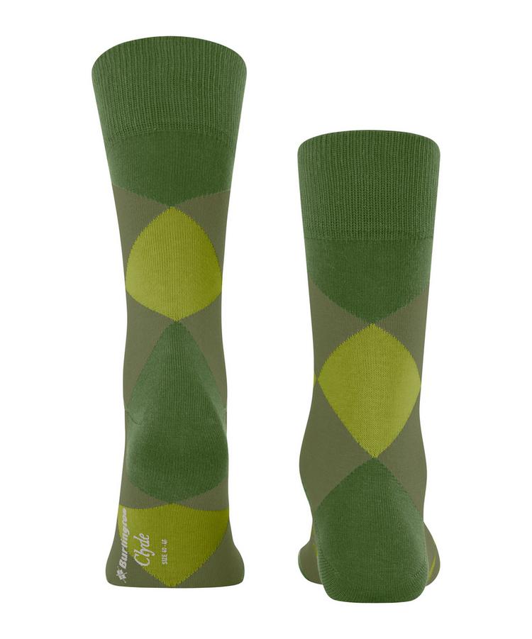 Burlington Burlington Clyde Socken Herren - fir green (7656) - 0 | SportScheck