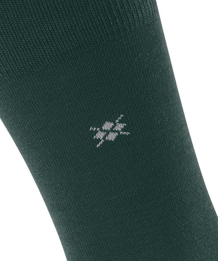 Burlington Burlington Leeds SO Socken Herren - forest (7450) - 1 | SportScheck