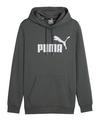 PUMA Essentials Big Logo Hoody Sweatshirt Herren - grau
