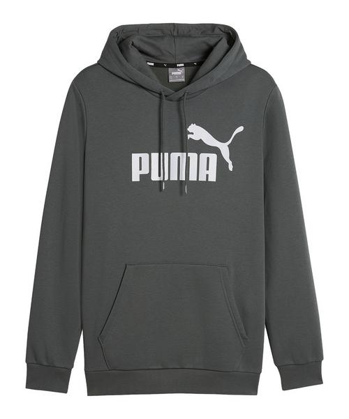 PUMA Essentials Big Logo Hoody Sweatshirt Herren