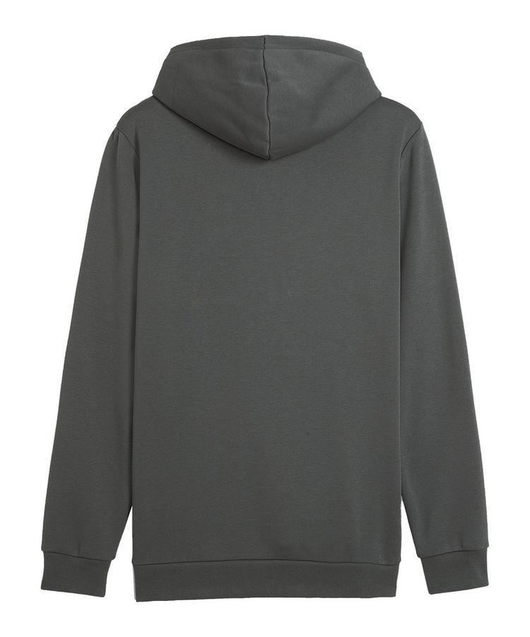 PUMA PUMA Essentials Big Logo Hoody Sweatshirt Herren - grau - 0 | SportScheck