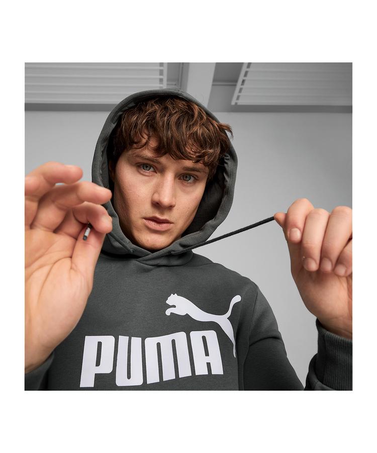 PUMA PUMA Essentials Big Logo Hoody Sweatshirt Herren - grau - 0 | SportScheck