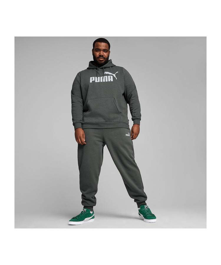 PUMA PUMA Essentials Big Logo Hoody Sweatshirt Herren - grau - 2 | SportScheck