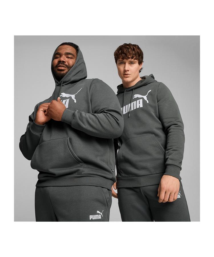 PUMA PUMA Essentials Big Logo Hoody Sweatshirt Herren - grau - 3 | SportScheck