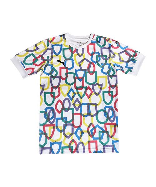 PUMA STRONGER TOGETHER Trikot 2.0 Promo Funktionsshirt Herren