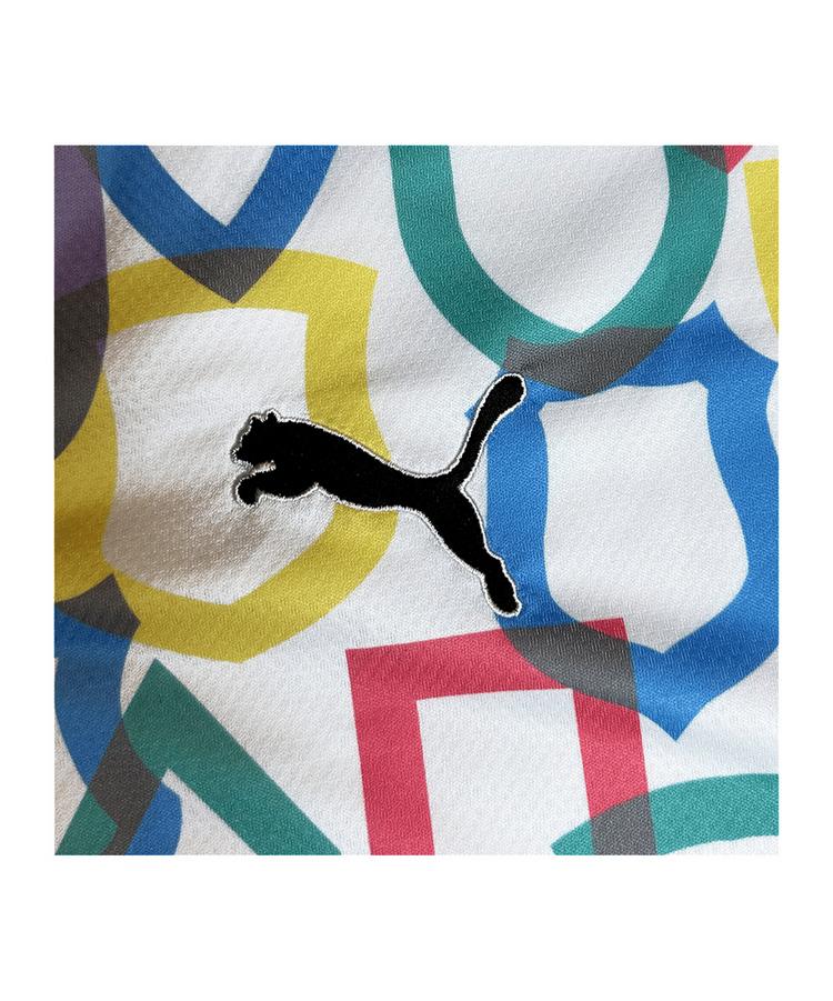 PUMA PUMA STRONGER TOGETHER Trikot 2.0 Promo Funktionsshirt Herren - weiss - 0 | SportScheck