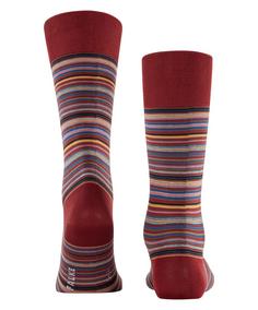 Rückansicht von Falke Microblock SO Freizeitsocken Herren cayenne (5950)