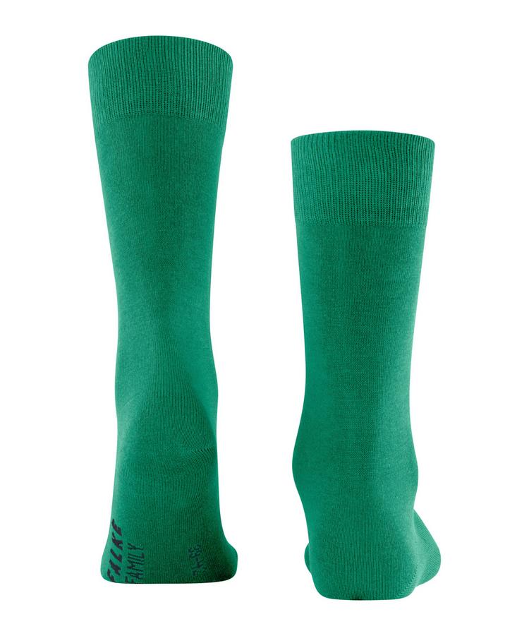 Falke Falke Family SO Socken Herren - tourmaline (7618) - 0 | SportScheck