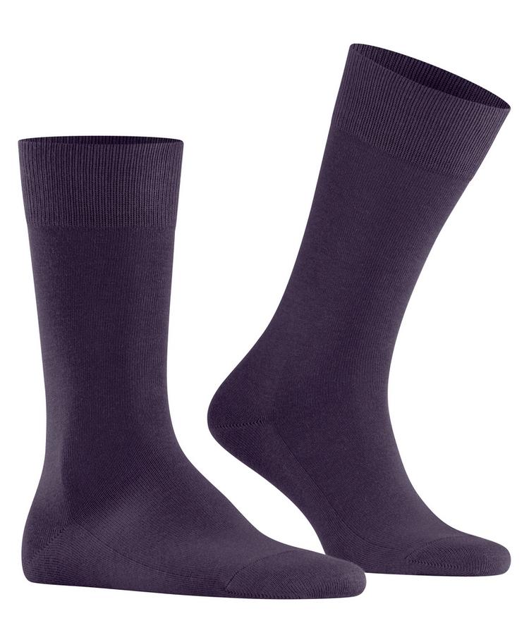 Falke Falke Family SO Socken Herren - wineberry (8761) - 0 | SportScheck
