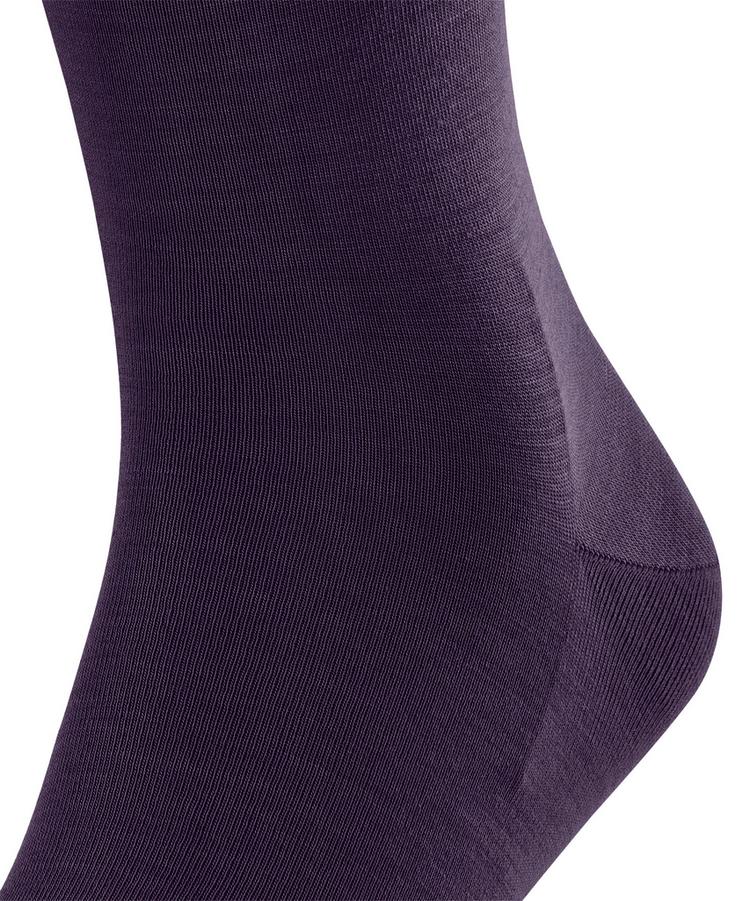 Falke Falke ClimaWool SO Socken Herren - wineberry (8761) - 1 | SportScheck