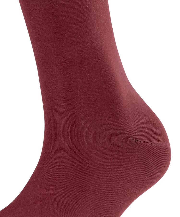 Falke Falke Cotton Touch Kneehigh Socken Damen - barolo (8596) - 1 | SportScheck