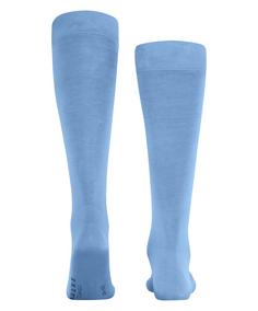 Rückansicht von Falke Tiago KH Freizeitsocken Herren cornflower blue (6554)