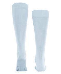 Rückansicht von Falke Tiago KH Freizeitsocken Herren light blue (6594)