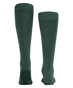 Rückansicht von Falke Tiago KH Freizeitsocken Herren hunter green (7441)