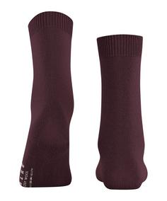 Rückansicht von Falke Cosy Wool SO Freizeitsocken Damen barolo (8596)