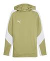 PUMA TeamEvostripe Hoody Funktionssweatshirt Herren - gruen