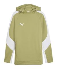 PUMA TeamEvostripe Hoody Funktionssweatshirt Herren - gruen