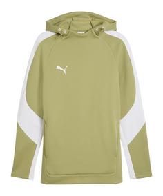 PUMA TeamEvostripe Hoody Funktionssweatshirt Herren gruen