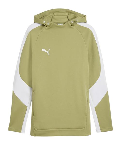 PUMA TeamEvostripe Hoody Funktionssweatshirt Herren