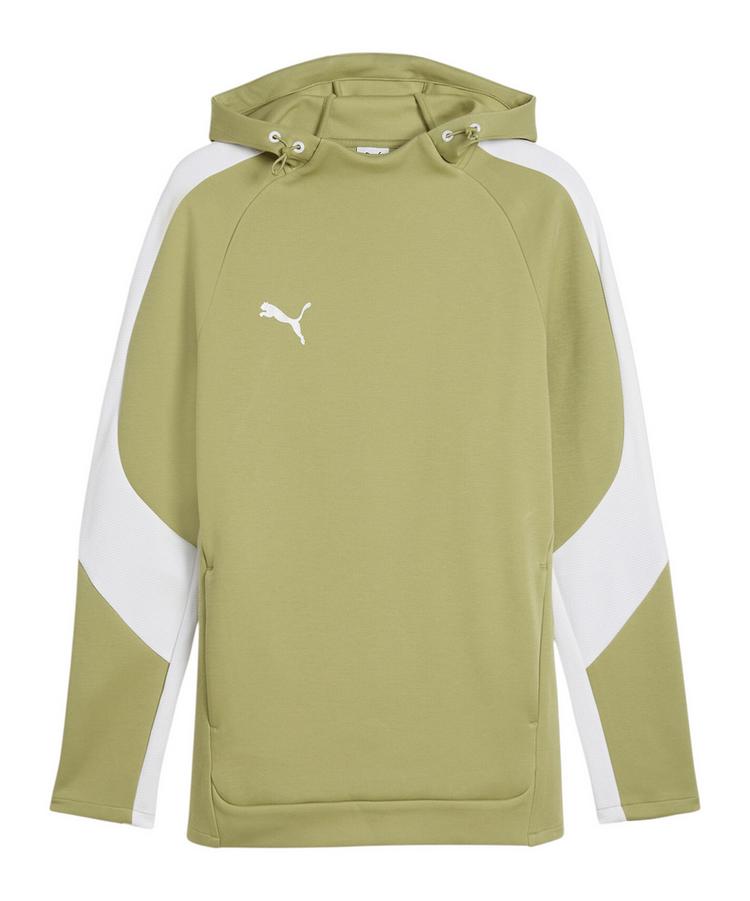 PUMA PUMA TeamEvostripe Hoody Funktionssweatshirt Herren - gruen - 0 | SportScheck