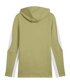 Rückansicht von PUMA TeamEvostripe Hoody Funktionssweatshirt Herren gruen