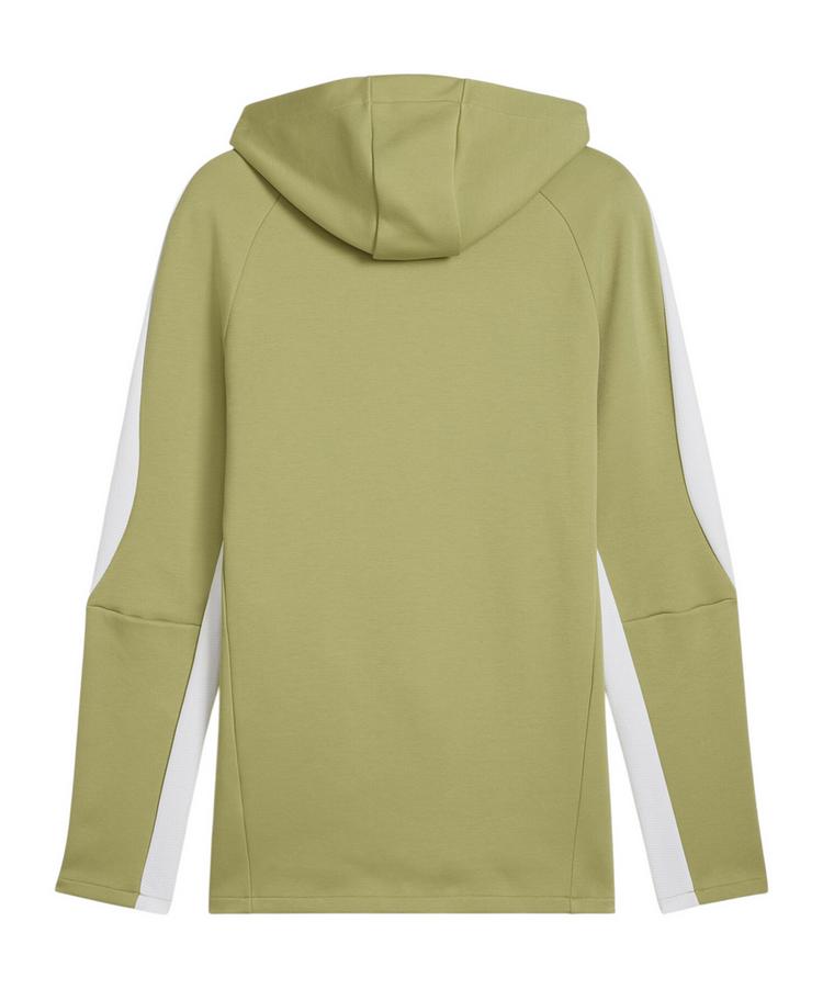 PUMA PUMA TeamEvostripe Hoody Funktionssweatshirt Herren - gruen - 0 | SportScheck