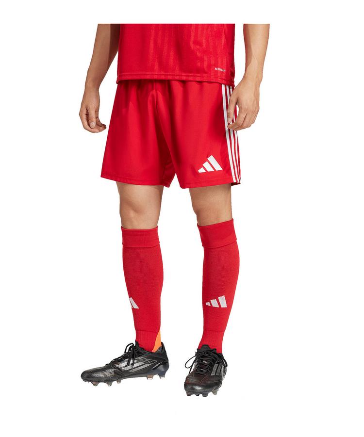 adidas adidas Tastigo 25 Short Fu&szlig;ballshorts Herren - rot - 0 | SportScheck