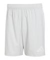 adidas Tastigo 25 Short Fu&szlig;ballshorts Herren - grau