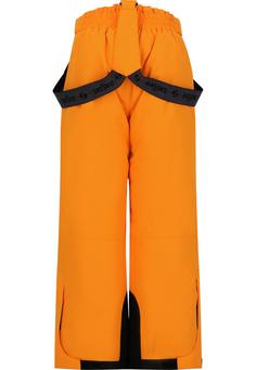 Rückansicht von ZigZag Provo Skihose Kinder 5102 Desert Sun