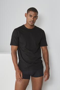 Rückansicht von Copenhagen Studios T-Shirt T-Shirt Herren salbei schwarz