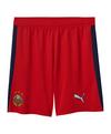 PUMA SK Rapid Wien Short Ausw&auml;rts 2025/2026 Fu&szlig;ballshorts Kinder - rot