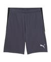 PUMA Short Fu&szlig;ballshorts Herren - grau