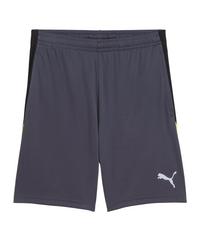 PUMA Short Fu&szlig;ballshorts Herren - grau