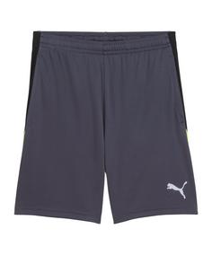 PUMA Short Fußballshorts Herren grau